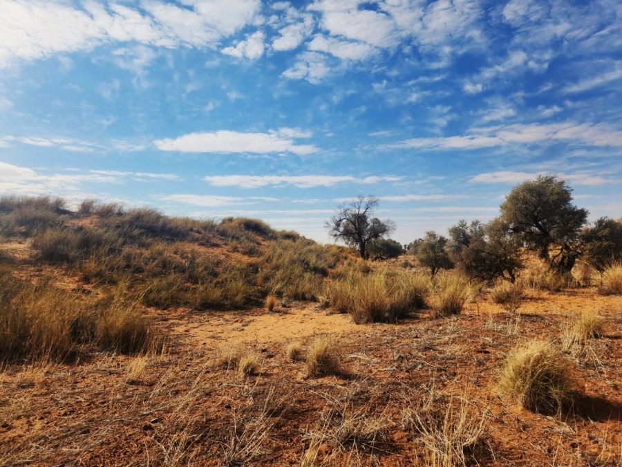 Commercial Property for Sale in Upington Rural Northern Cape